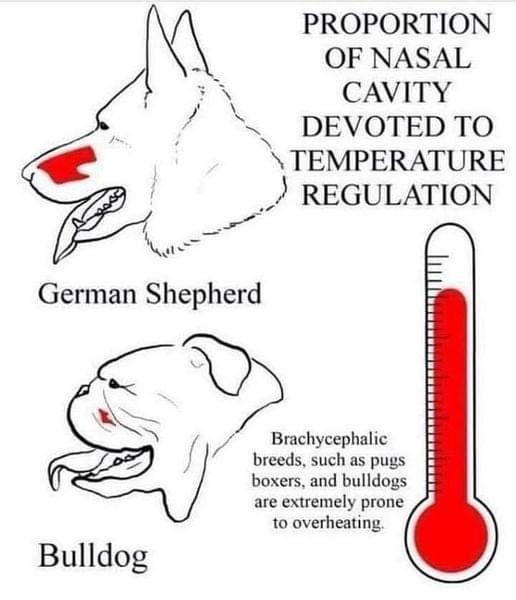 Temp Regulation